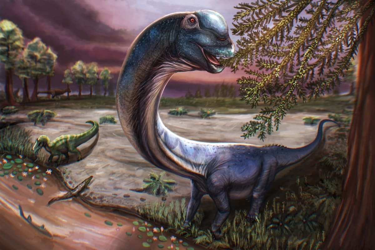 Thai Scientist Names Biggest Dinosaur in Southeast Asia - Image 3
