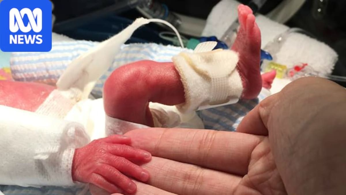 Professor Matt Kemp in laboratory at Women and Infants Research Foundation working on artificial placenta technology