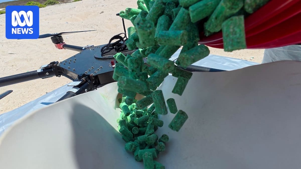 Drone Tech Saves Remote Island From Mouse Plague