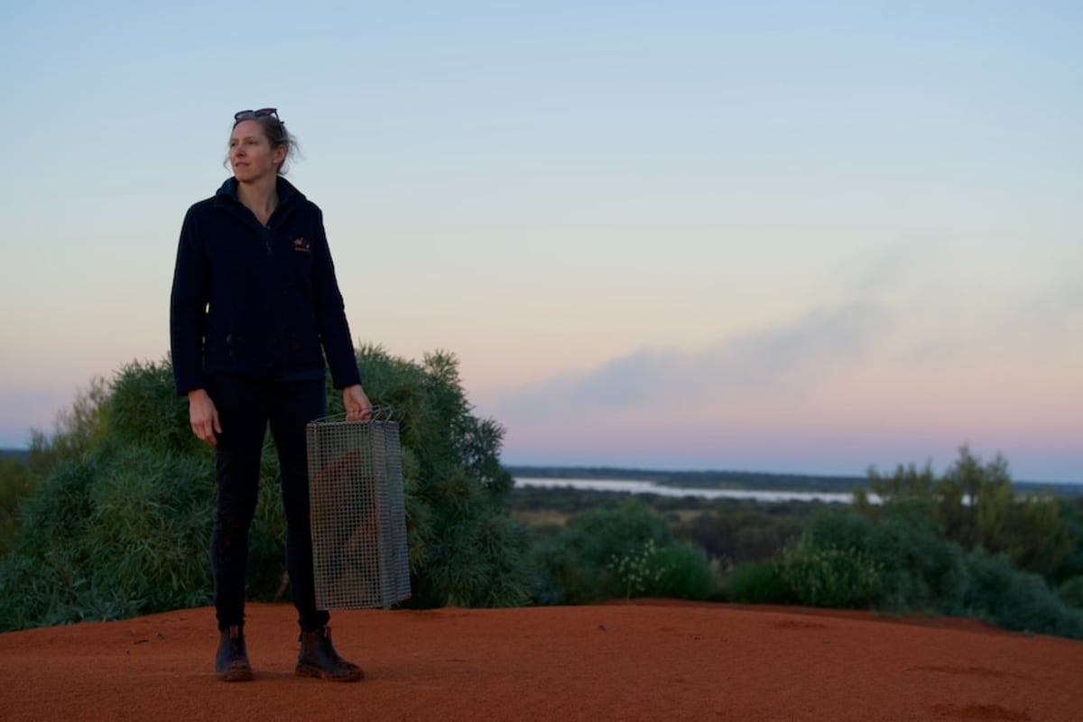 Extinct Species Return to Australian Outback After 100 Years - Image 2