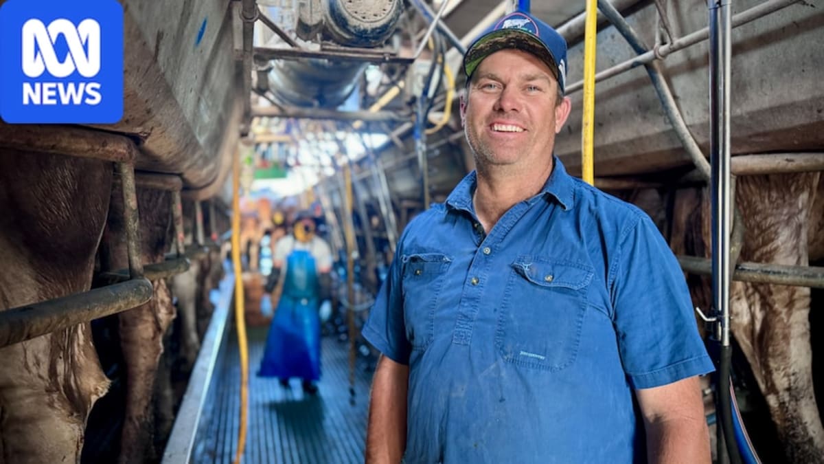 Dairy Saves 80-Year Queensland Farm Hours Before Closure