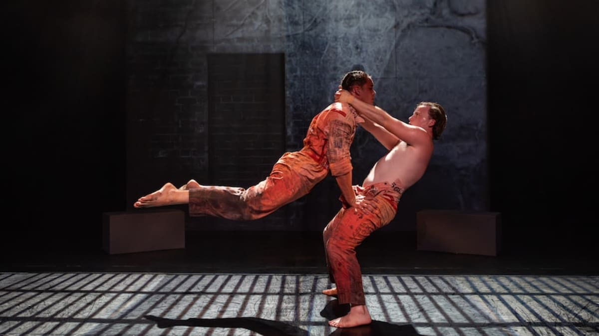 Indigenous Dance Brings Stolen Generations Story to Stage - Image 3