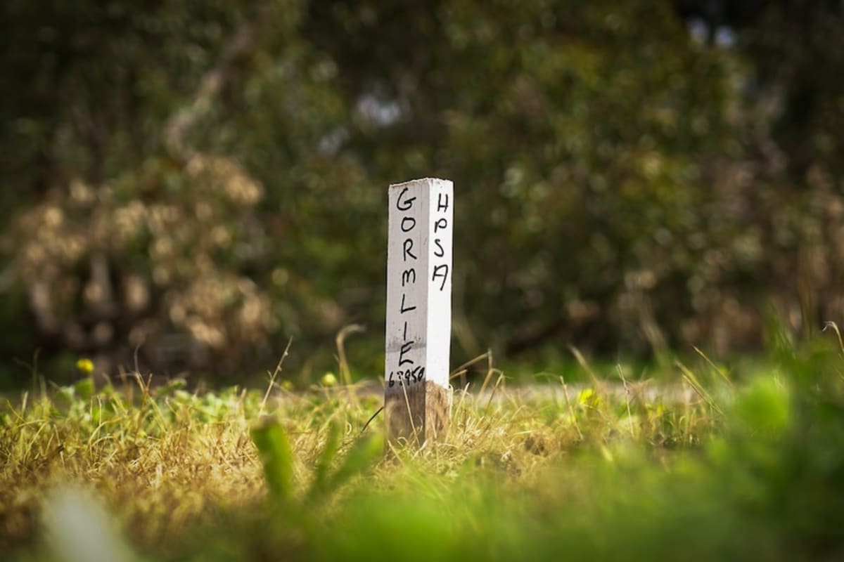 Volunteers Honor 200 Forgotten WWI Veterans in Australia - Image 5