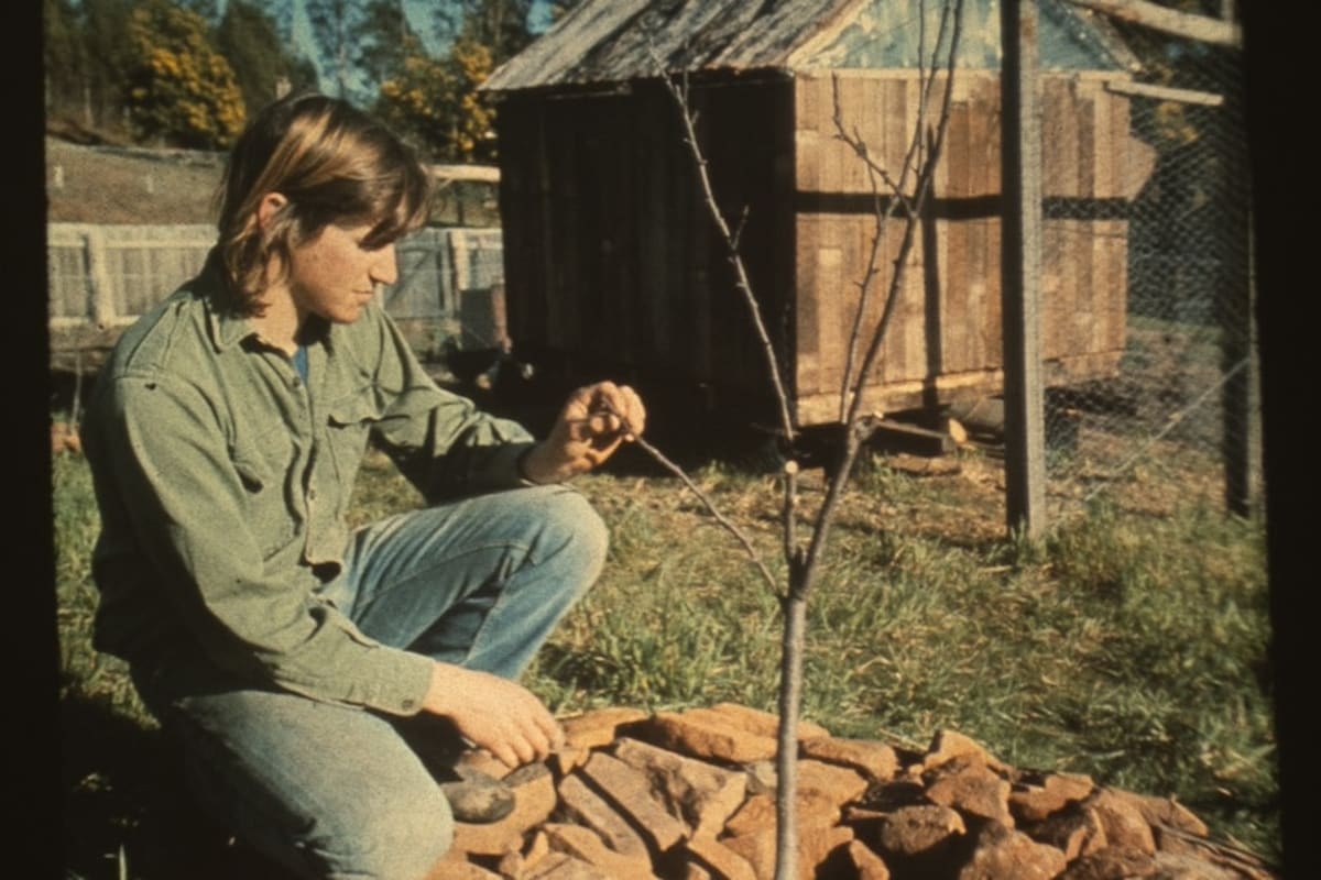 Permaculture Movement Blooms Again During Oil Crisis - Image 5