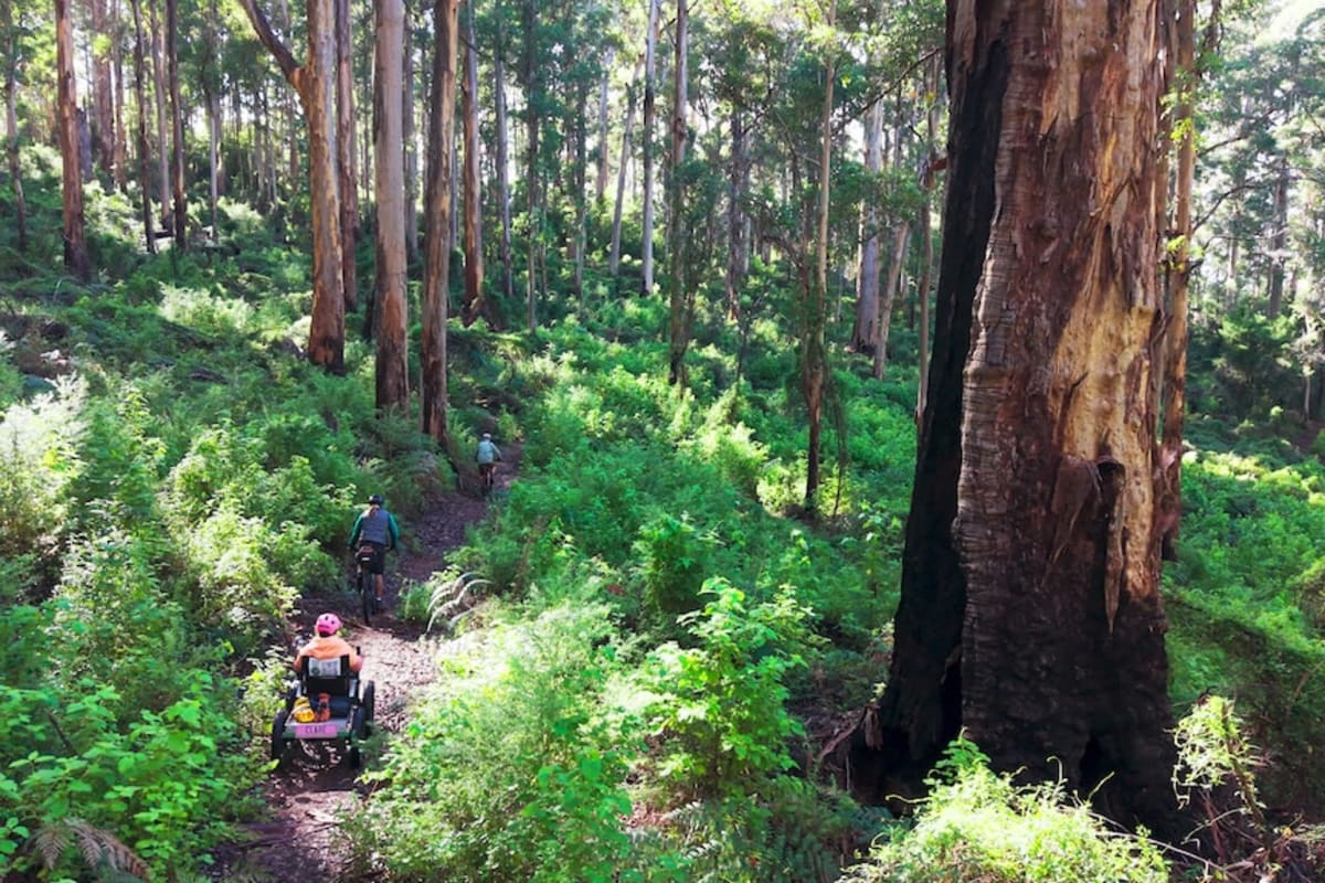 Woman Completes 1,000km Trail in Wheelchair, MS First - Image 4