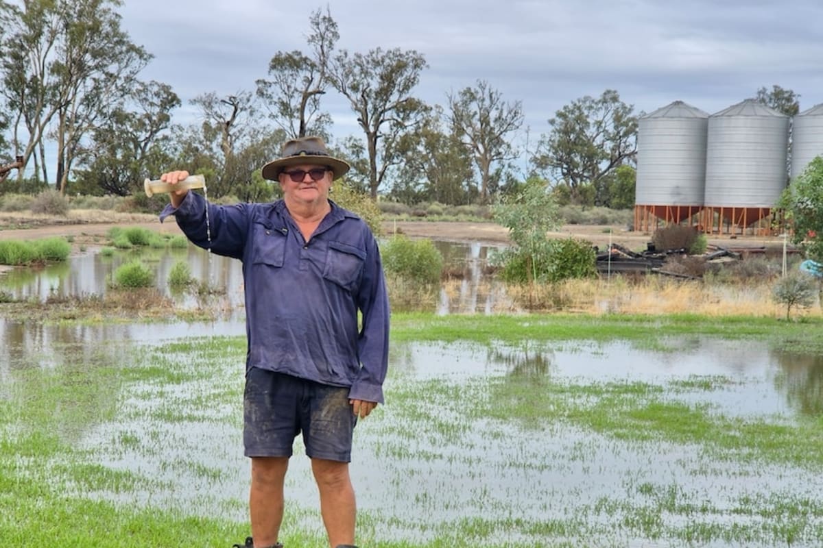 NSW Farmers Celebrate 145mm Rain After 6-Month Drought - Image 3