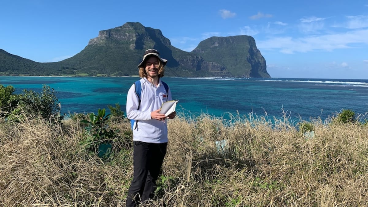 Lord Howe Island: 60% More Insects After Rat Removal - Image 2