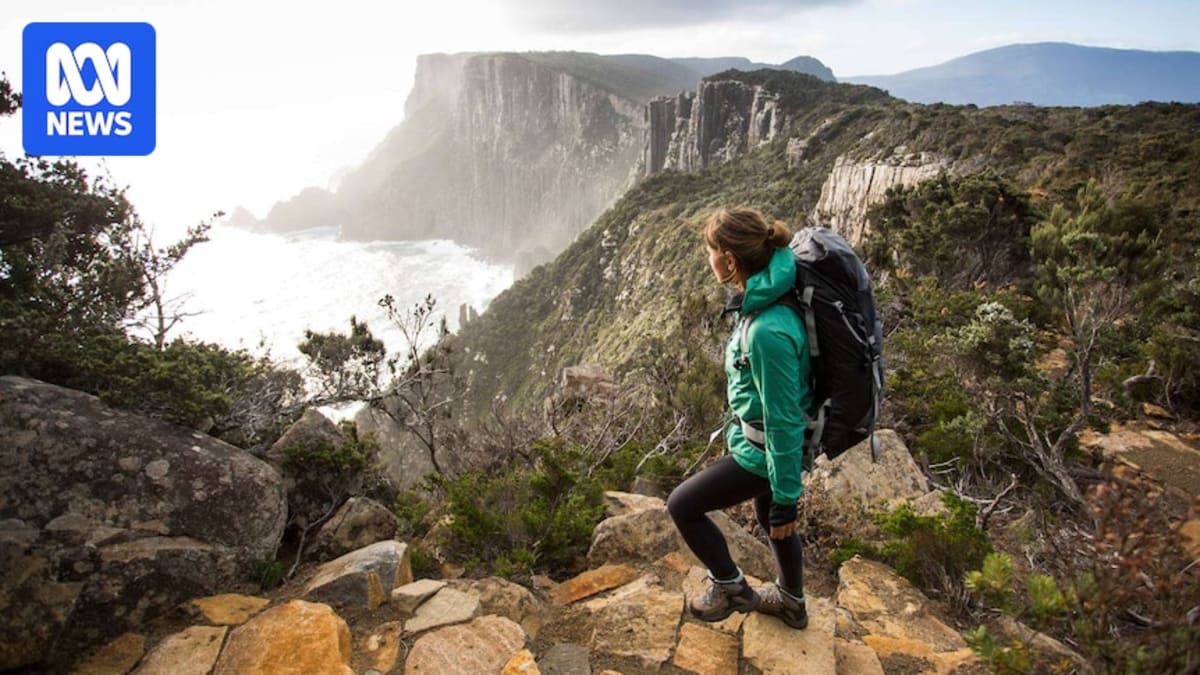 Tasmania Cuts Influencer Fees to $100 for Park Content