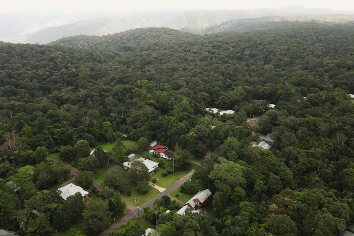 Rainforest Village Reopens After 16 Months Cut Off by Floods - Image 5
