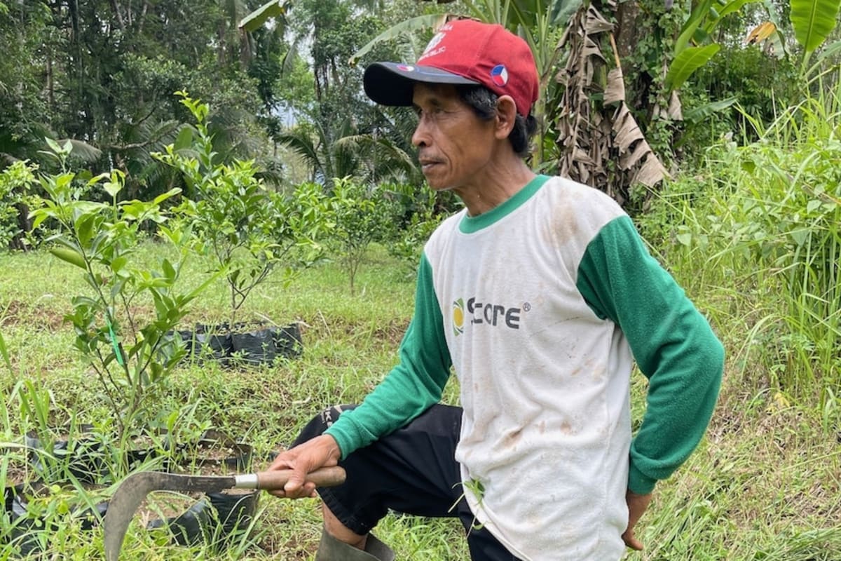 Indonesian Farmers Help Protect Australia's Citrus Industry - Image 4