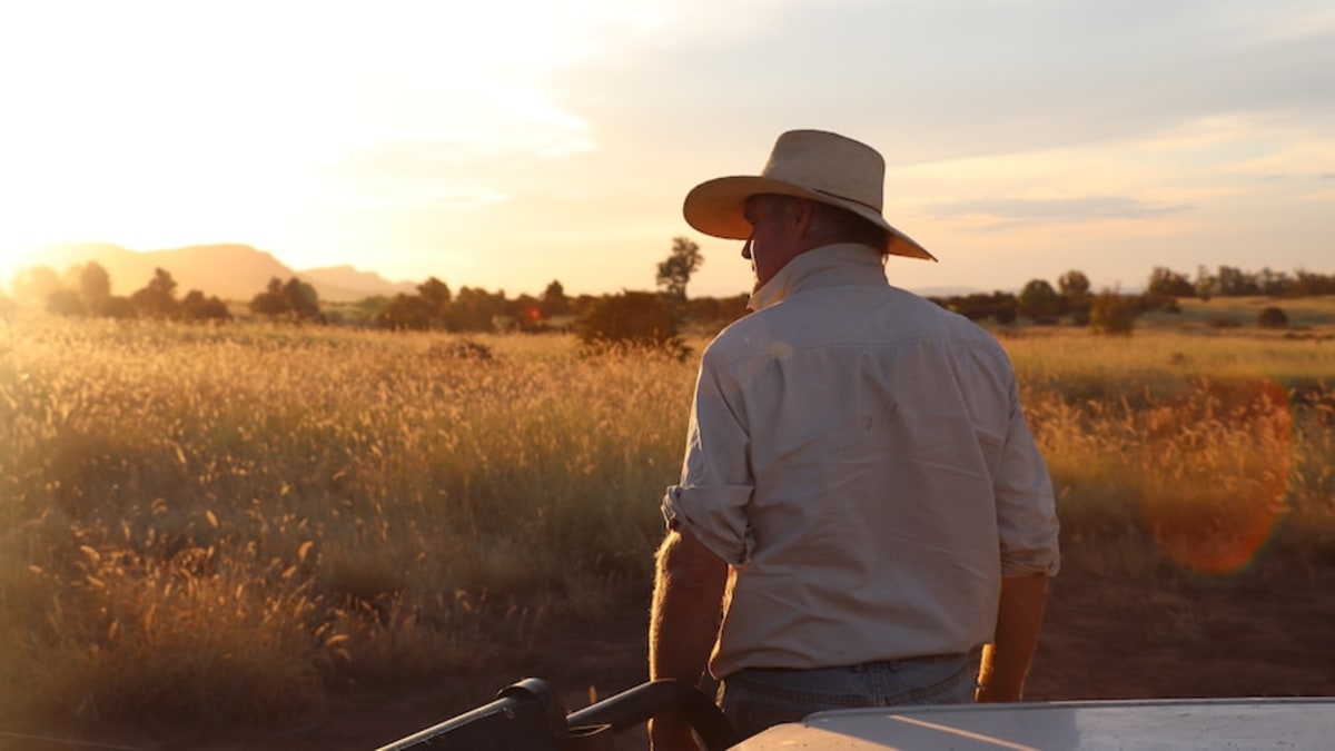 Australian Farmers Embrace Change and Find Hope - Image 3