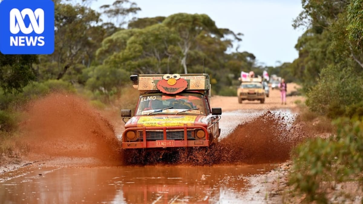 Muddy colorful cars lined up during South Australia Variety Bash charity drive