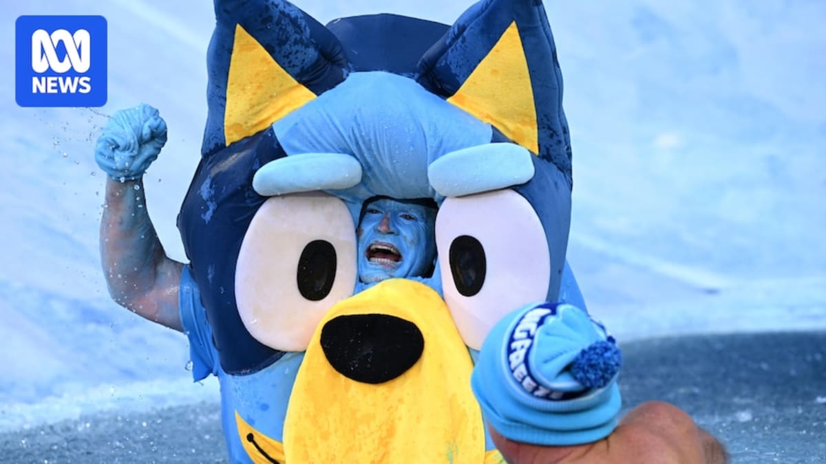 Big Freeze Raises Record Funds After Daniher's Death