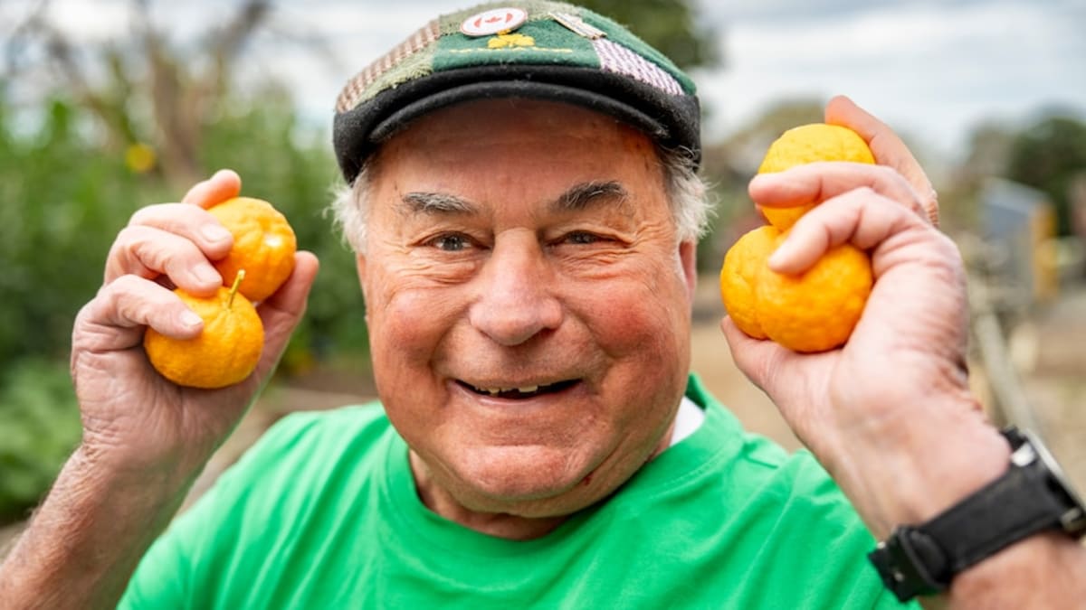 Adelaide Garden Turns 30, Feeds Hundreds Like Italian Piazza - Image 2