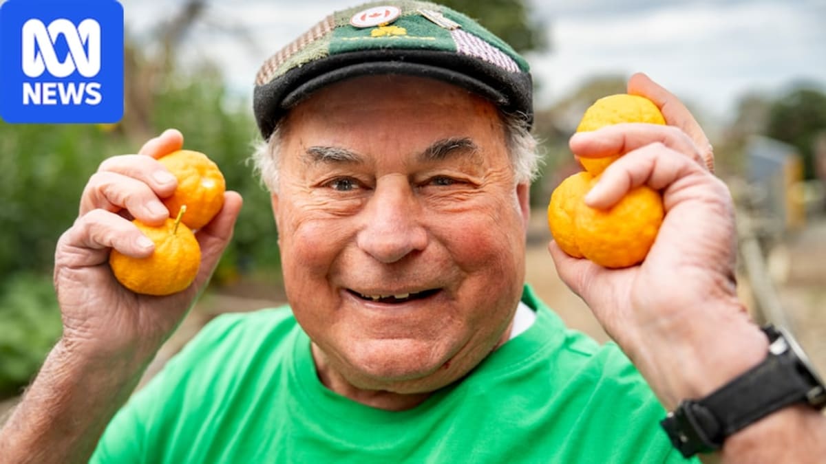 Elderly man Mario Minuzzo standing in lush community garden with fruit trees and garden plots