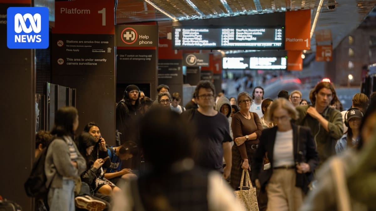 Long line of commuters waiting at Brisbane bus stop during afternoon peak hour