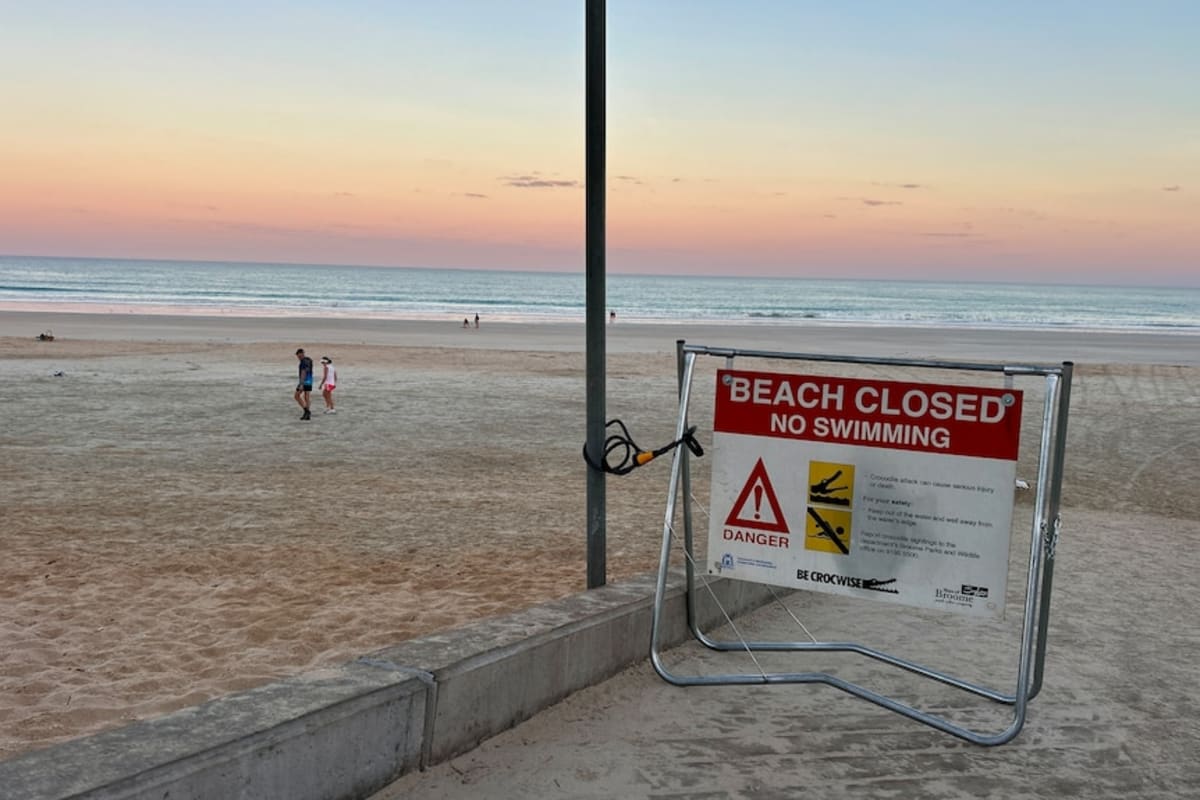 3.5-Meter Saltwater Croc Finds New Home After Beach Rescue - Image 5