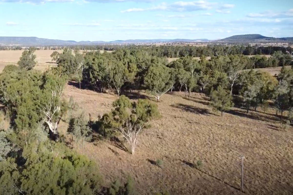 Elder Revives Ancient Language on Sacred Australian Land - Image 5