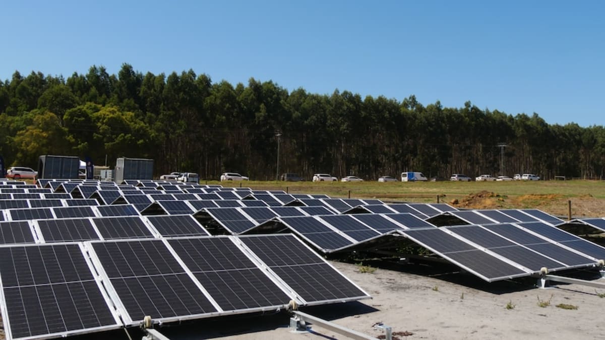 Australia's Largest Dairy Cuts Power Costs With Solar - Image 2
