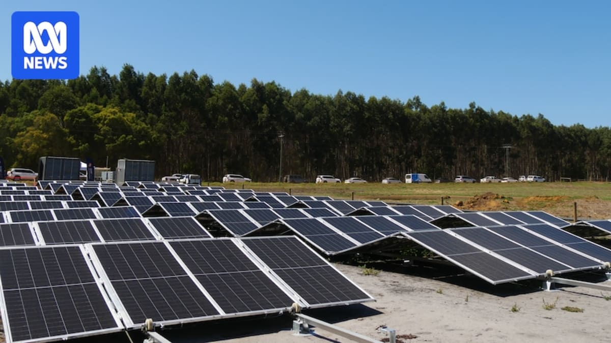Australia's Largest Dairy Cuts Power Costs With Solar