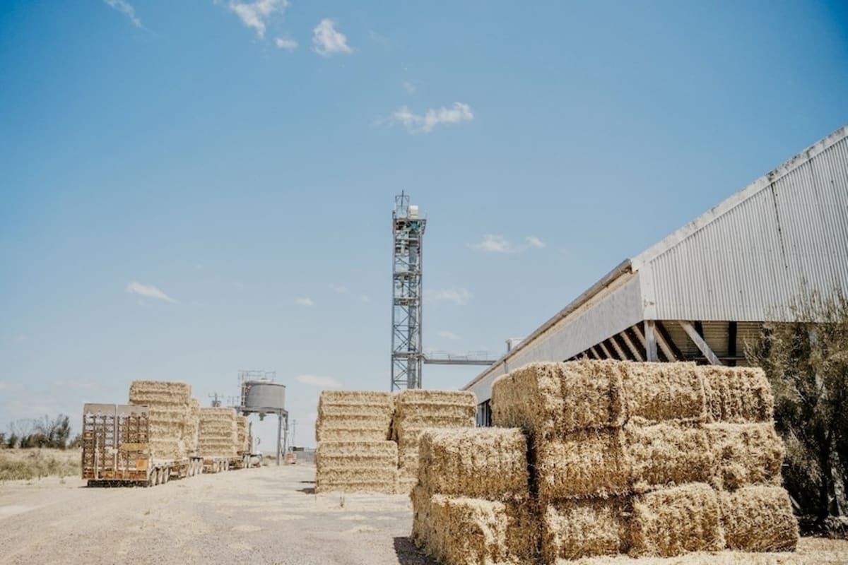 Farmers Unite to Feed 1,000km of Drought-Hit Cattle - Image 4