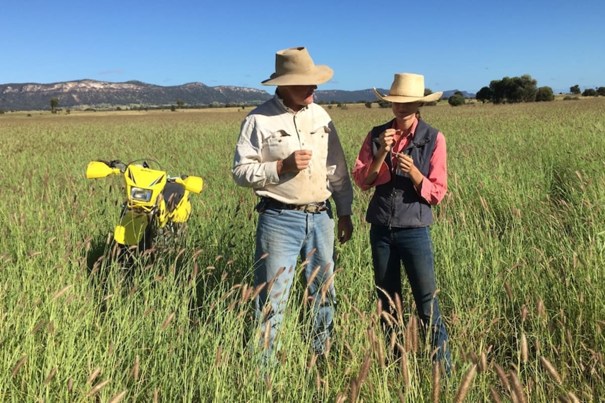Australian Farmers Embrace Change and Find Hope - Image 5