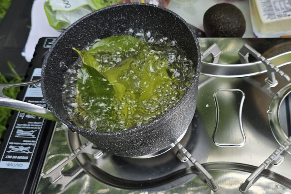 Australian Backyards Hide Free Superfood Treasure Trove - Image 5
