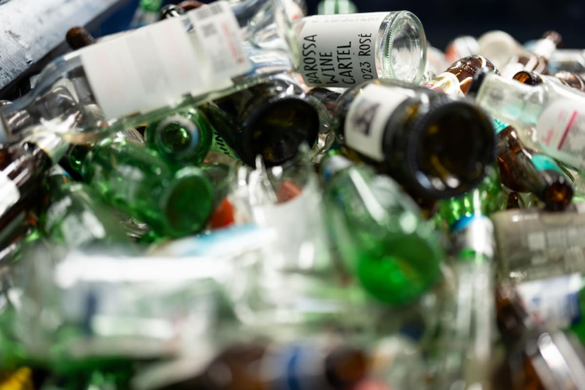 Australian Farmers Turn Recycled Glass Into Crop Gold - Image 5