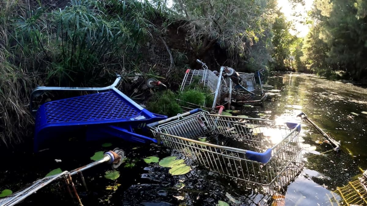 Woman Dives Into Creek, Pulls Out 300+ Shopping Trolleys - Image 3