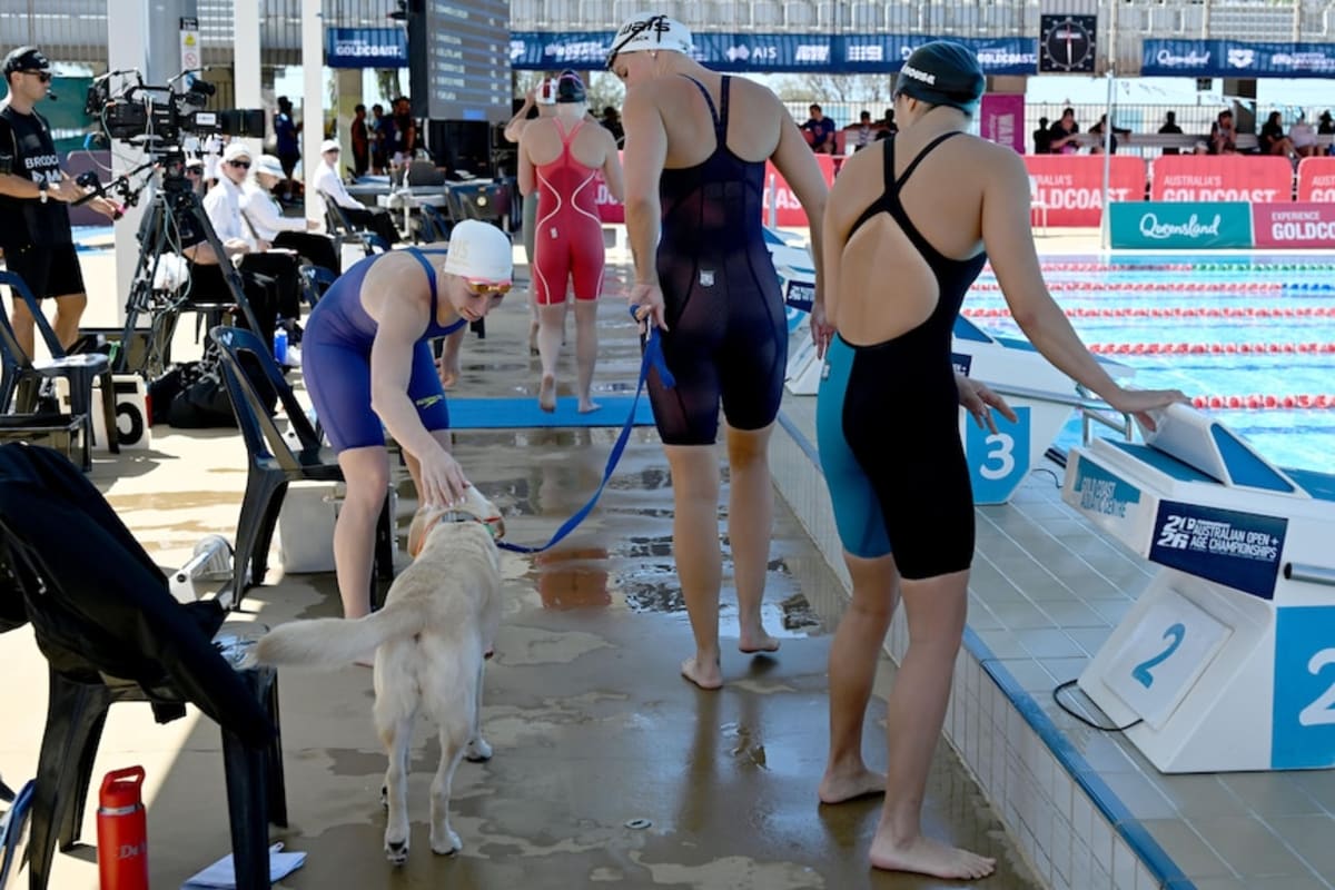Swimming Australia Adds Therapy Dogs to Reduce Athlete Stress - Image 5