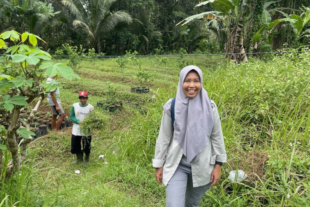 Indonesian Farmers Help Protect Australia's Citrus Industry - Image 3