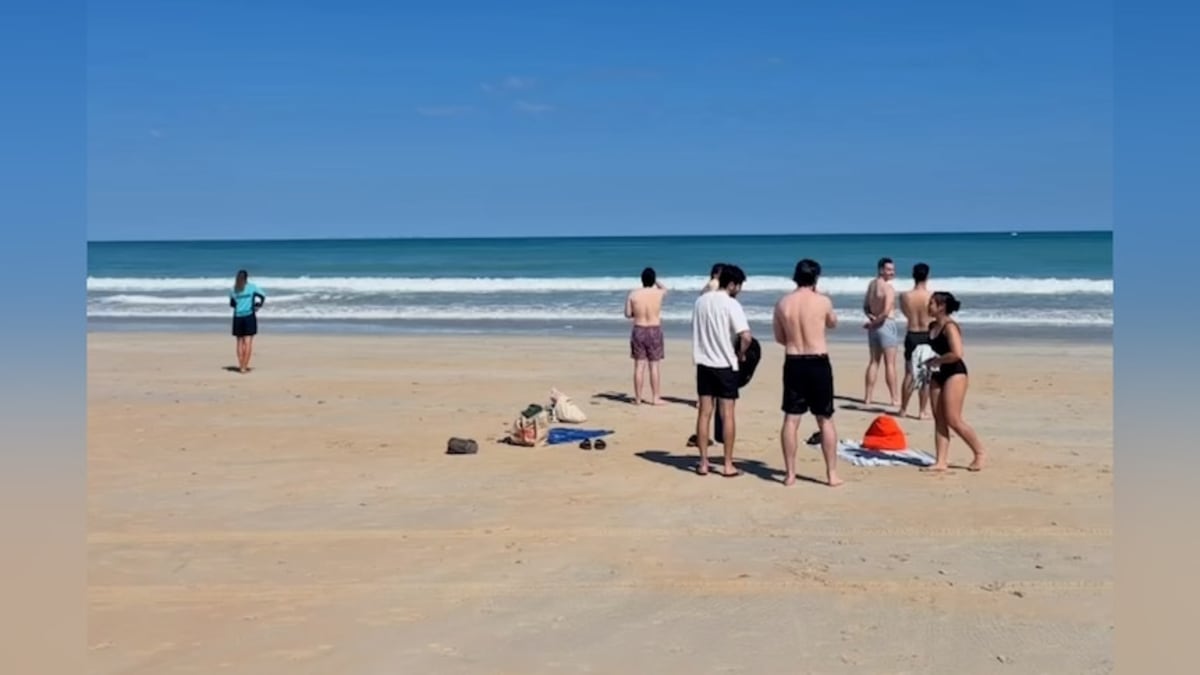 3.5-Meter Saltwater Croc Finds New Home After Beach Rescue - Image 3