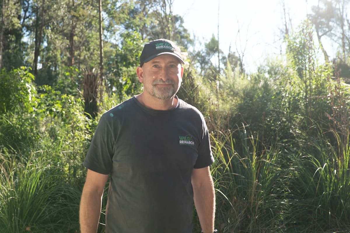 1,400 Endangered Frogs Released After Black Summer Fires - Image 3