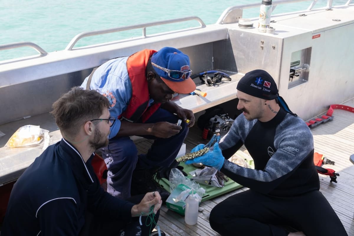 Indigenous Rangers Map NT Reef, Find New Coral Species - Image 4