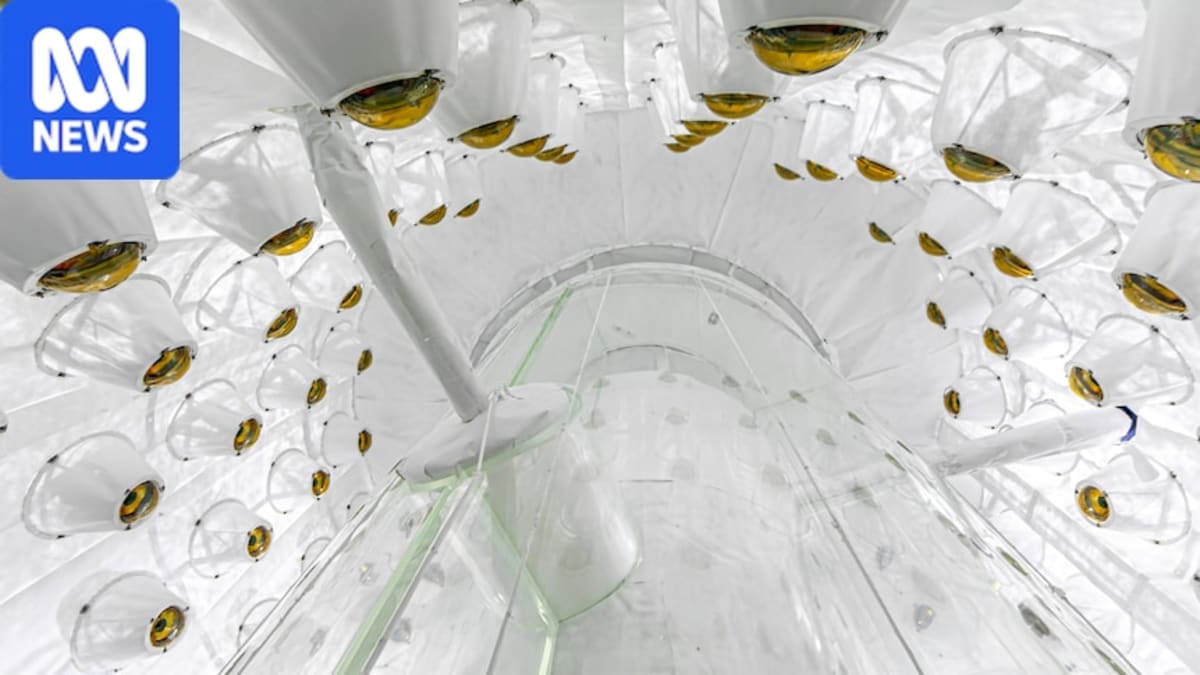 Scientists Spot Most Compelling Dark Matter Hint Yet