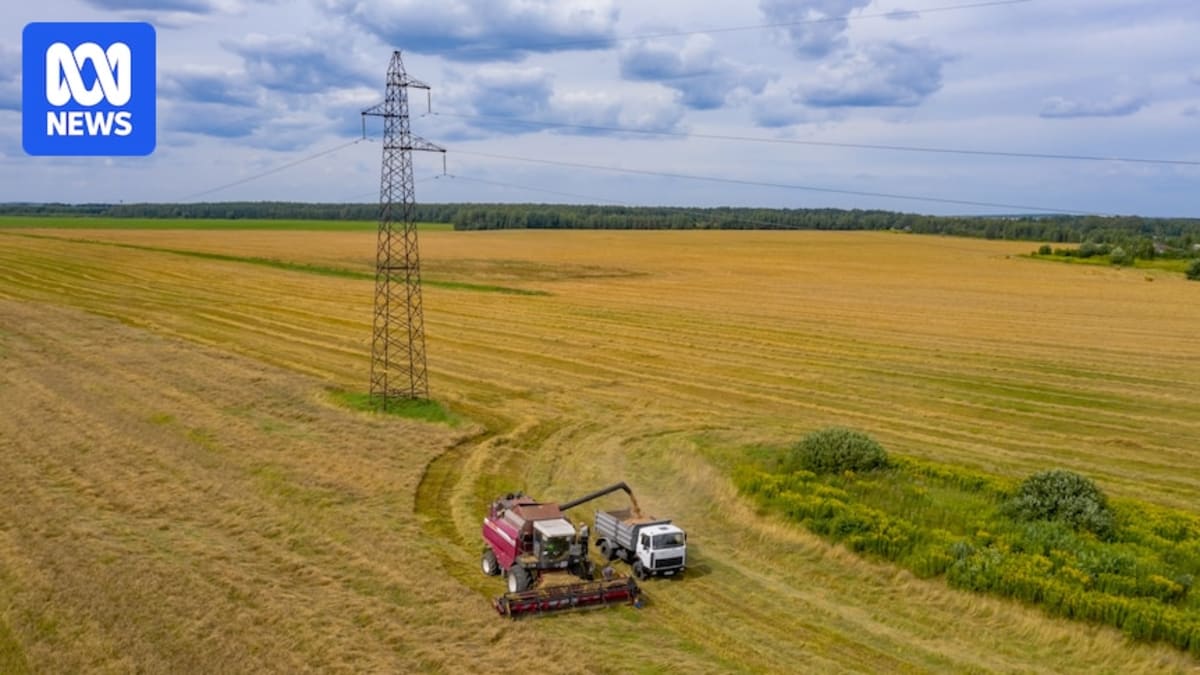 Transmission towers crossing green farmland under blue sky in rural Victoria Australia