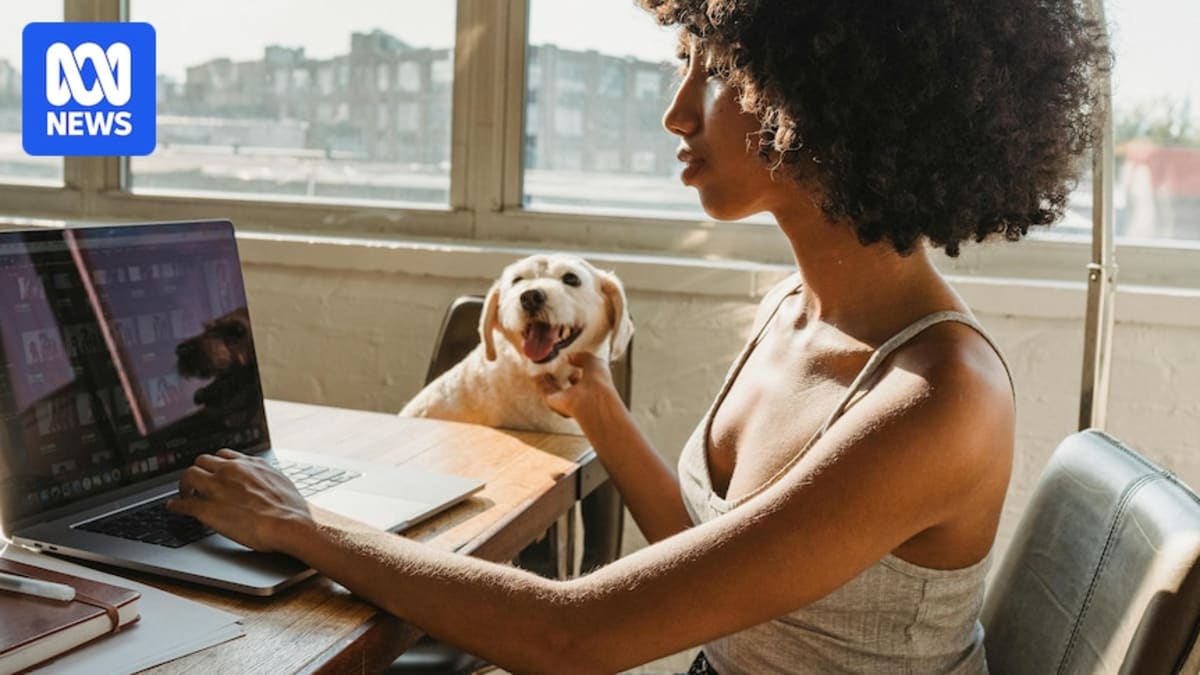 Happy dog sitting beside office worker at desk in modern workplace setting