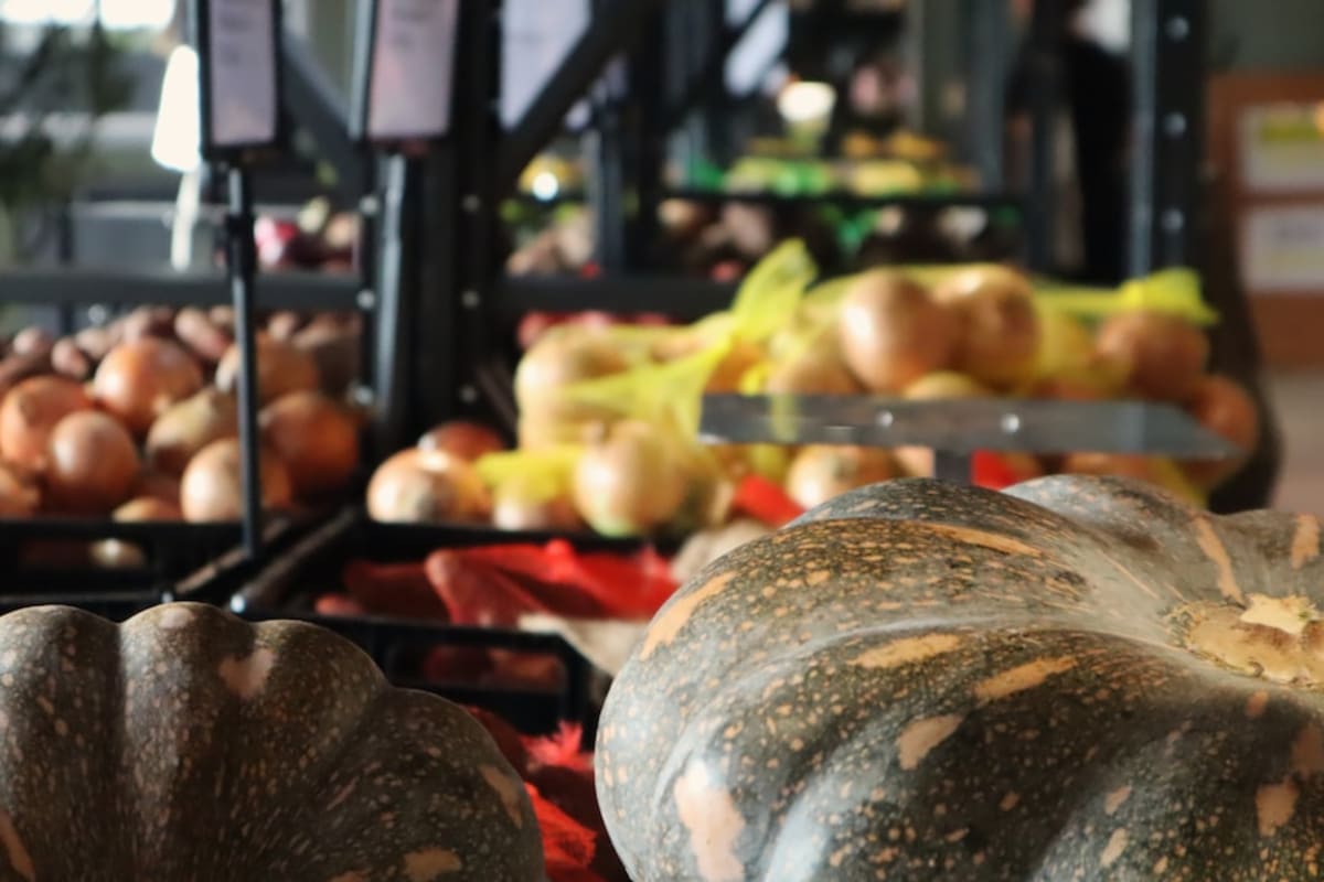 Australia's Farms Go Local as Freight Costs Soar - Image 3