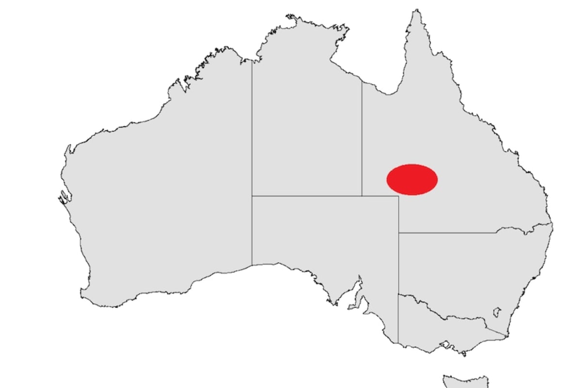 Rare Night Parrot Found in New Queensland Location - Image 4