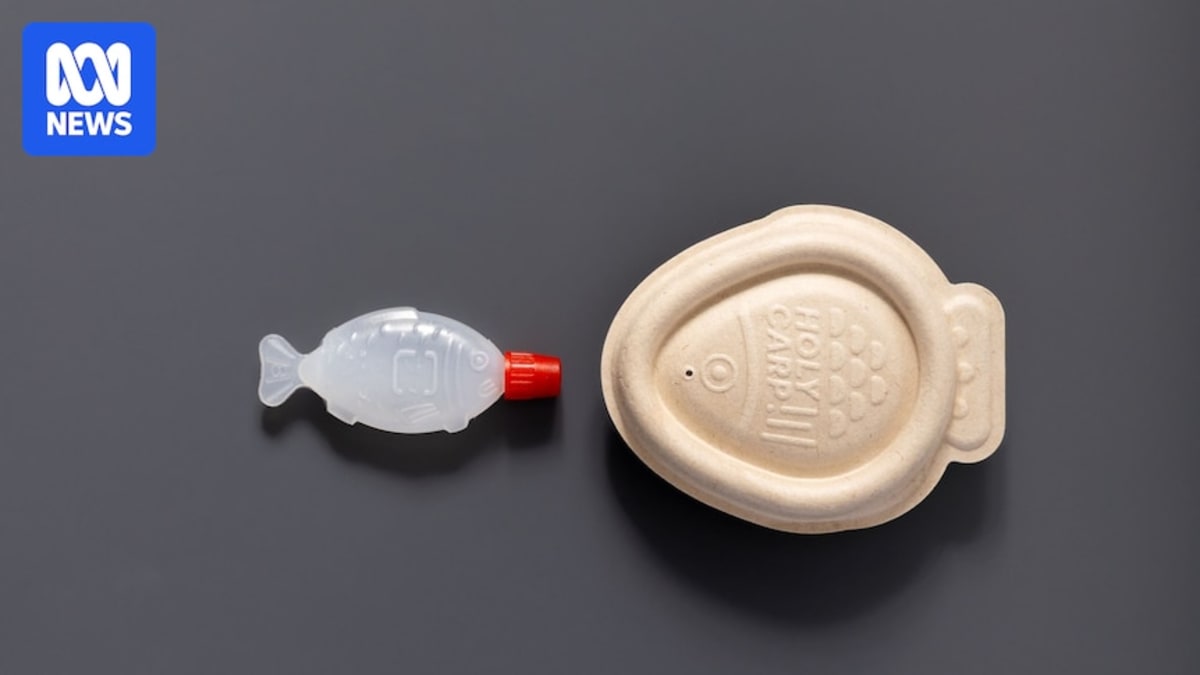 Designer Creates Compostable Soy Sauce Fish for Sushi