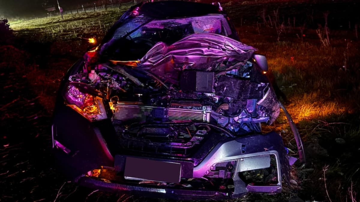 Mom Survives 110km/h Tree Strike in Record WA Storm - Image 2
