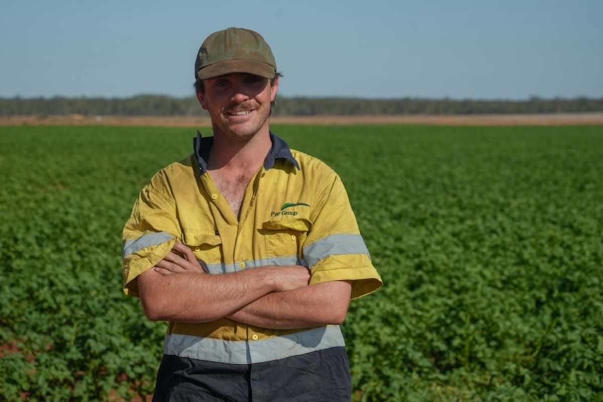 Australia's Top End Grows First Potato Crop in 20 Years - Image 4