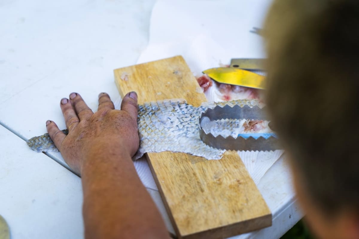 Artist Turns Fish Market Waste Into Wearable Fashion - Image 5