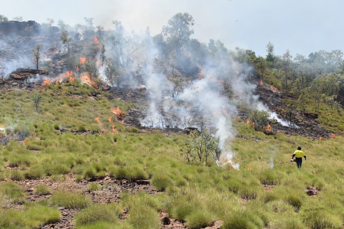 Indigenous Rangers Finalists for $1.9M Climate Prize - Image 5
