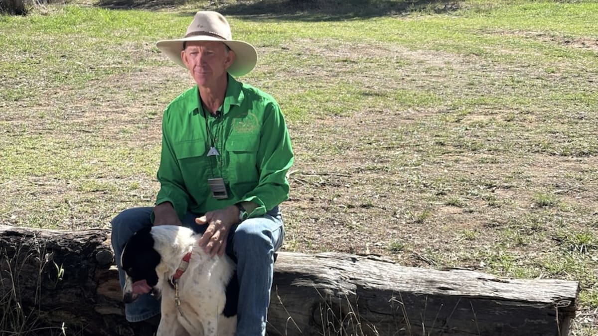Rhino Zookeeper Wins Top Honors at Sheep Dog Trials - Image 2