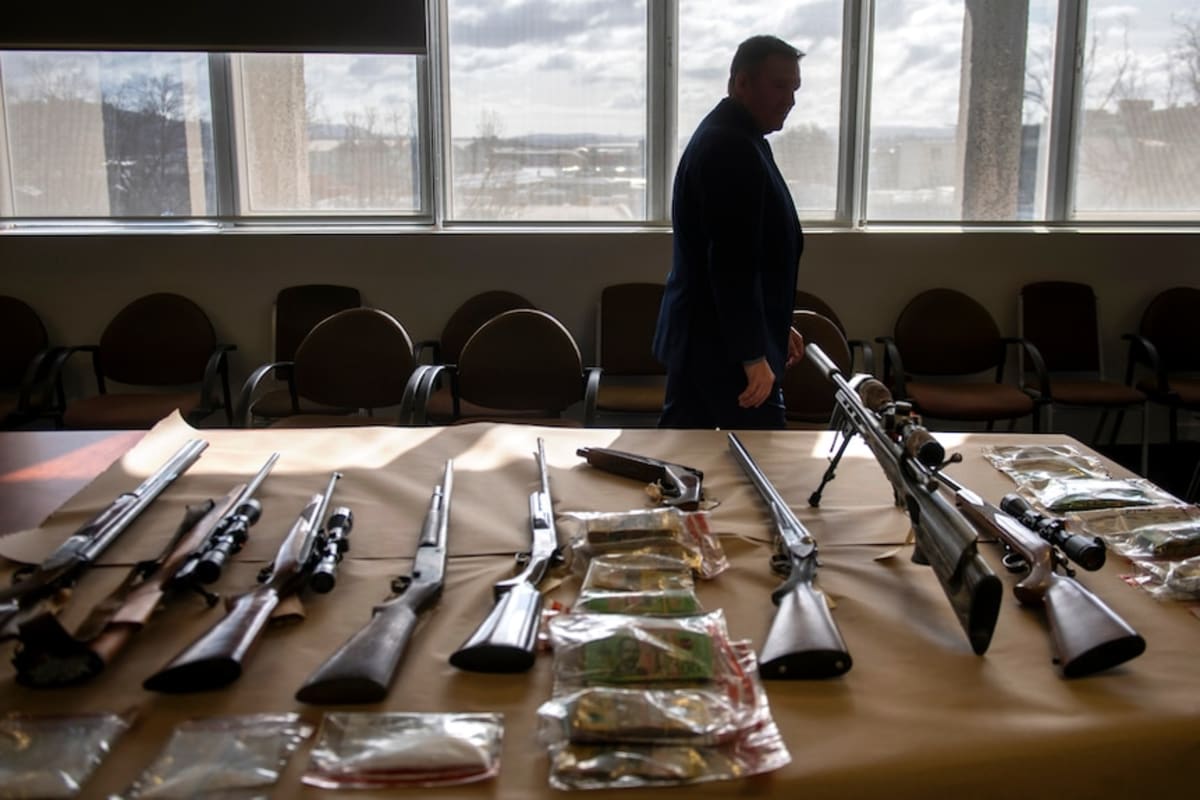 Tasmania Police Leader Stops Risky Gun Owner Letters - Image 3