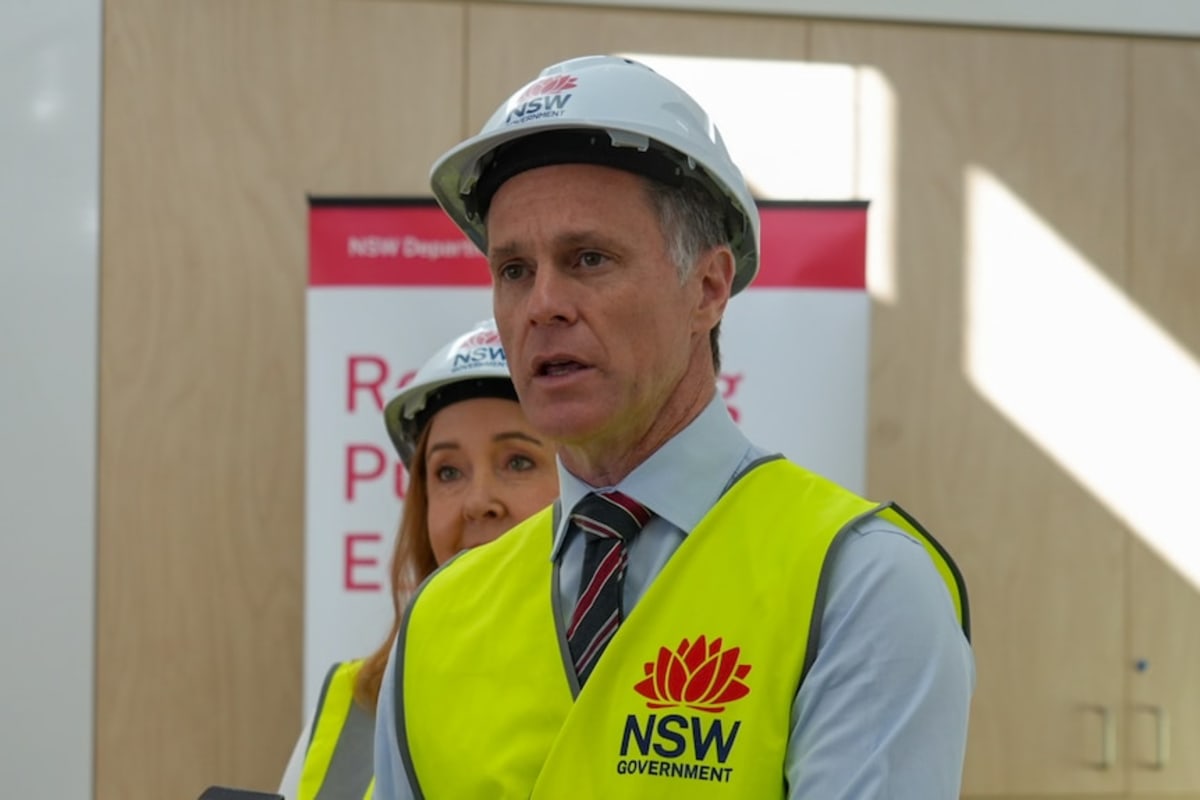NSW Reroutes Power Lines to Save Homes and Endangered Frogs - Image 4