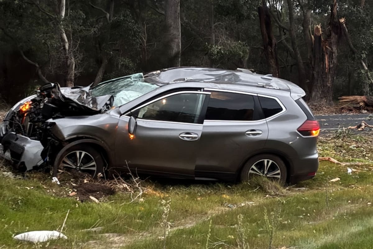 Mom Survives 110km/h Tree Strike in Record WA Storm - Image 4