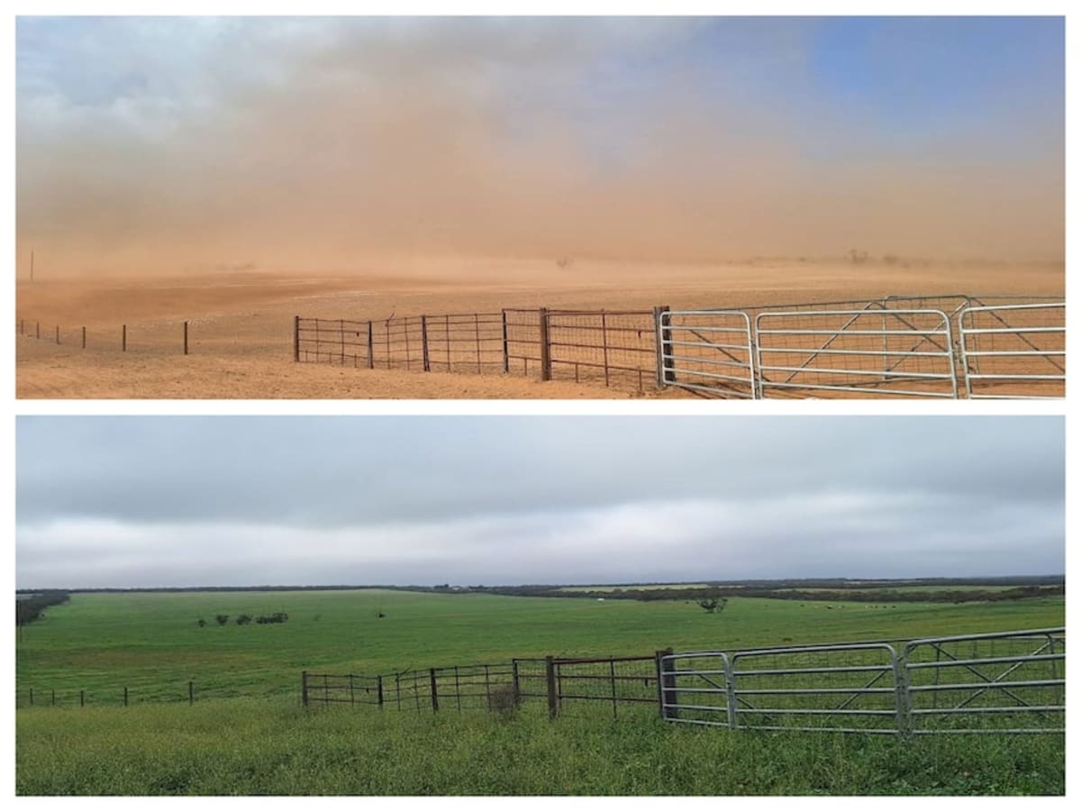 Record Rain Transforms South Australian Farms in Weeks - Image 2
