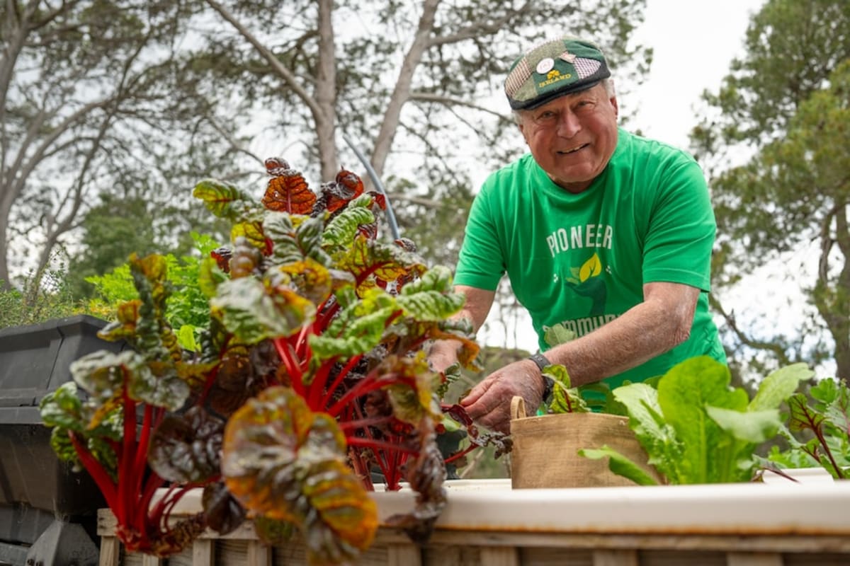 Adelaide Garden Turns 30, Feeds Hundreds Like Italian Piazza - Image 3